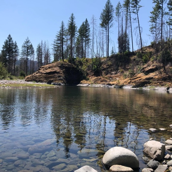 Meet your Posher, Reagan - Picture 2 of 3